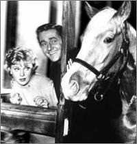 Mr. Ed. Click on for a larger image! 